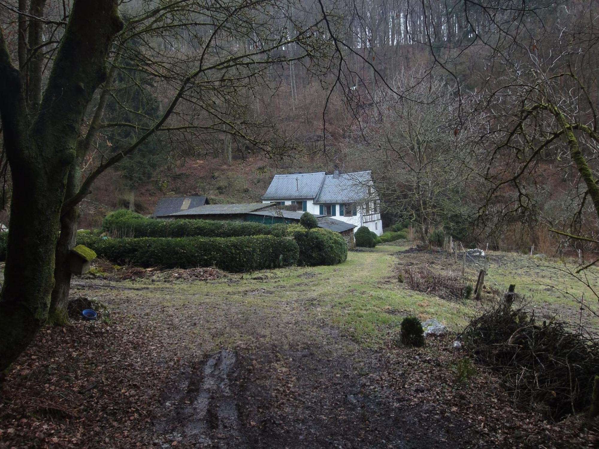 Holiday Home In Kleinich With Sauna Eksteriør bilde